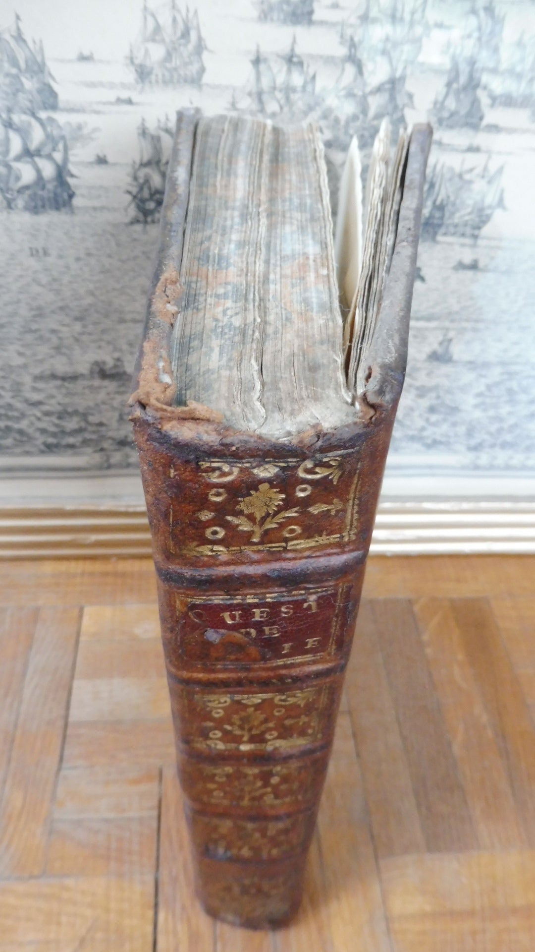 Questions sur l'ordonnance de Louis XIV (Rodier) 1769 TOULOUSE