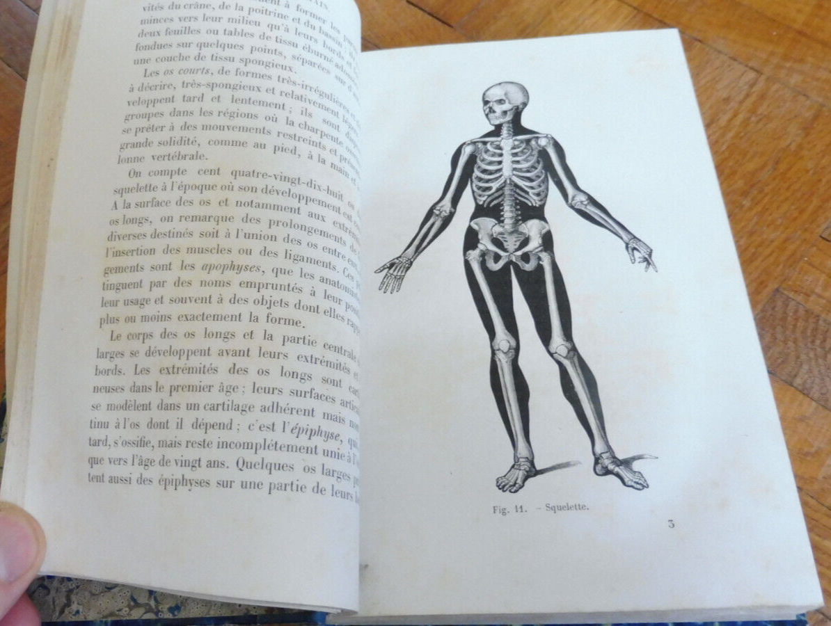 Le Corps humain (A. Le Pileur) 1868