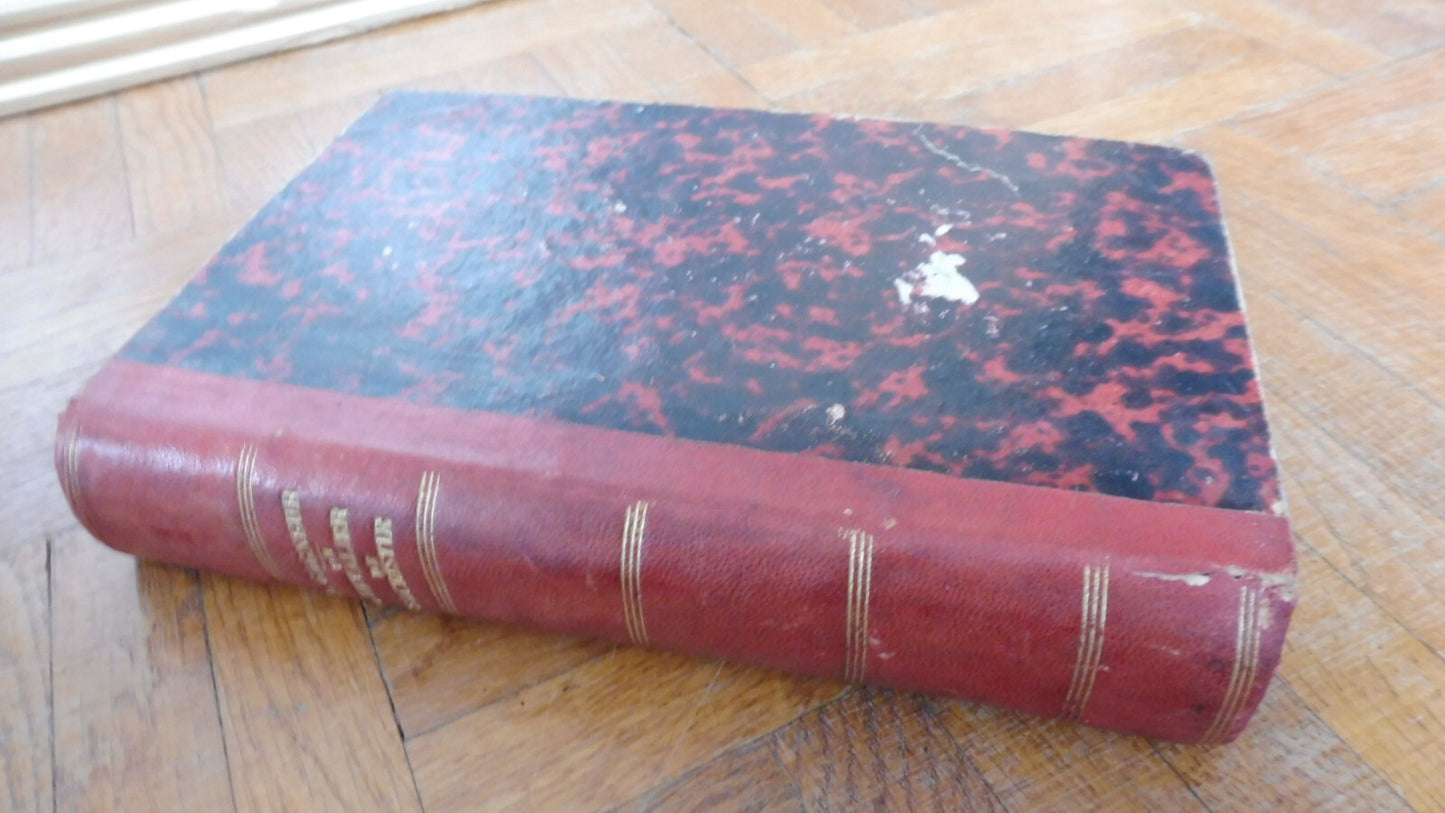 Un Chevalier de sacristie (Marie-Louise Gagneur) 1881