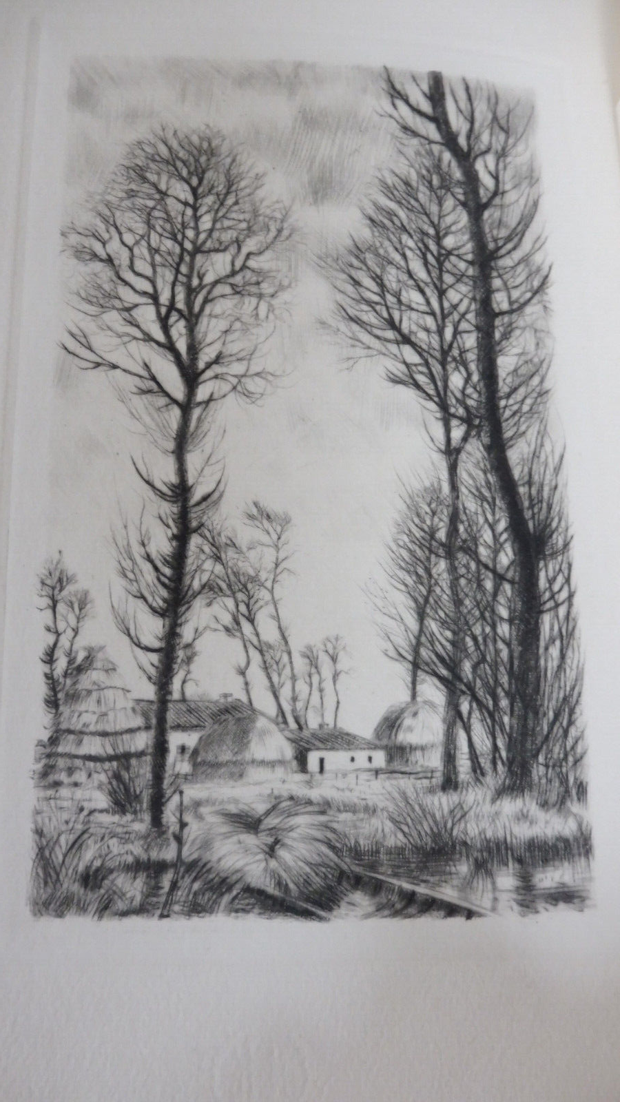 Dominique (Eugène Fromentin) 1942illus. Ciry VELIN