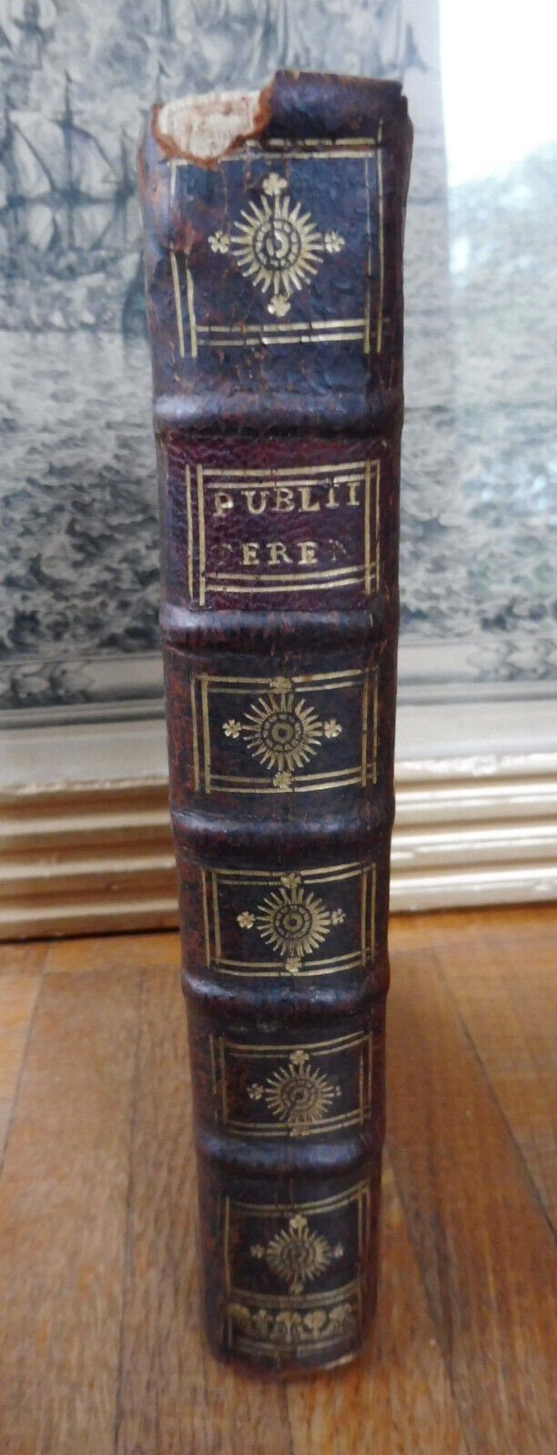 Publii Terentii comediae expurgatae 1717