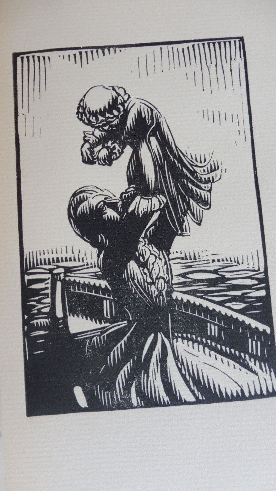 Les Affinités électives (Goethe) 1929 illus. Vibert 2/2 VELIN