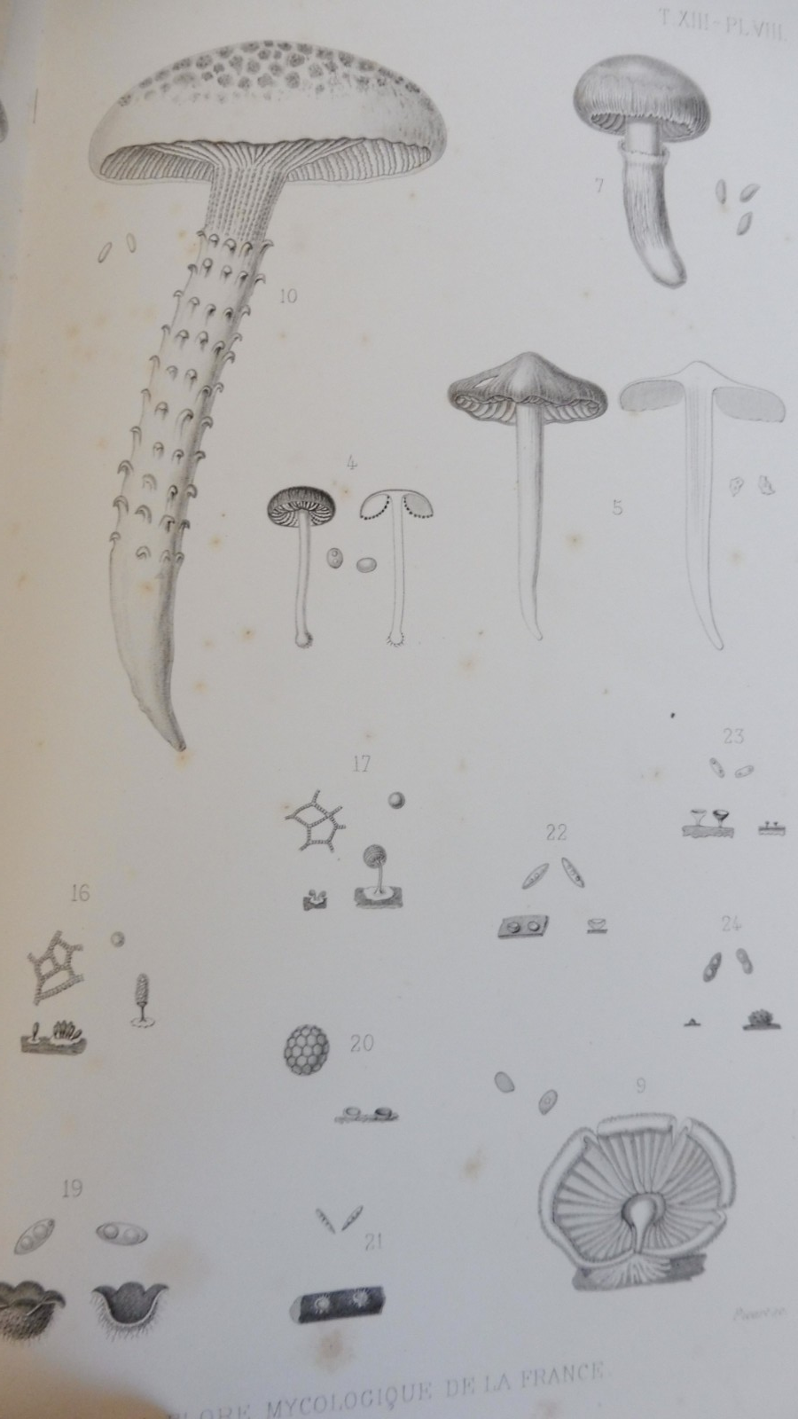 Association française pour l'avancée des sciences. 1884. 13e session. Blois 1885