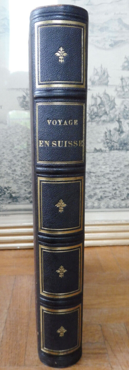 Voyage pittoresque en Suisse en Savoie et dans les Alpes (E. Bégin) s.d.