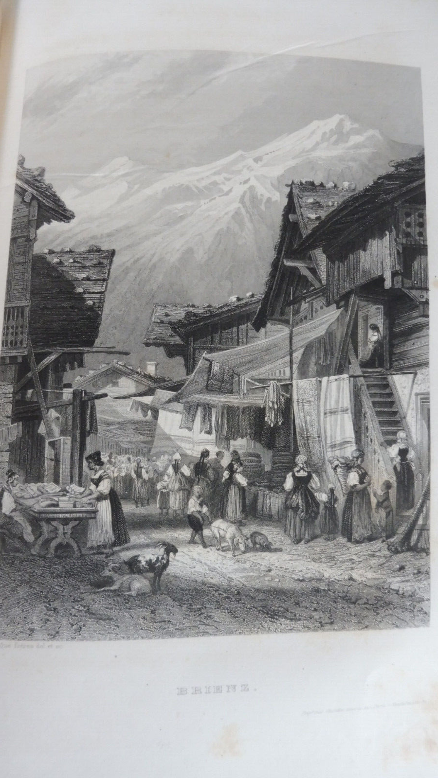 Voyage pittoresque en Suisse en Savoie et dans les Alpes (E. Bégin) s.d.