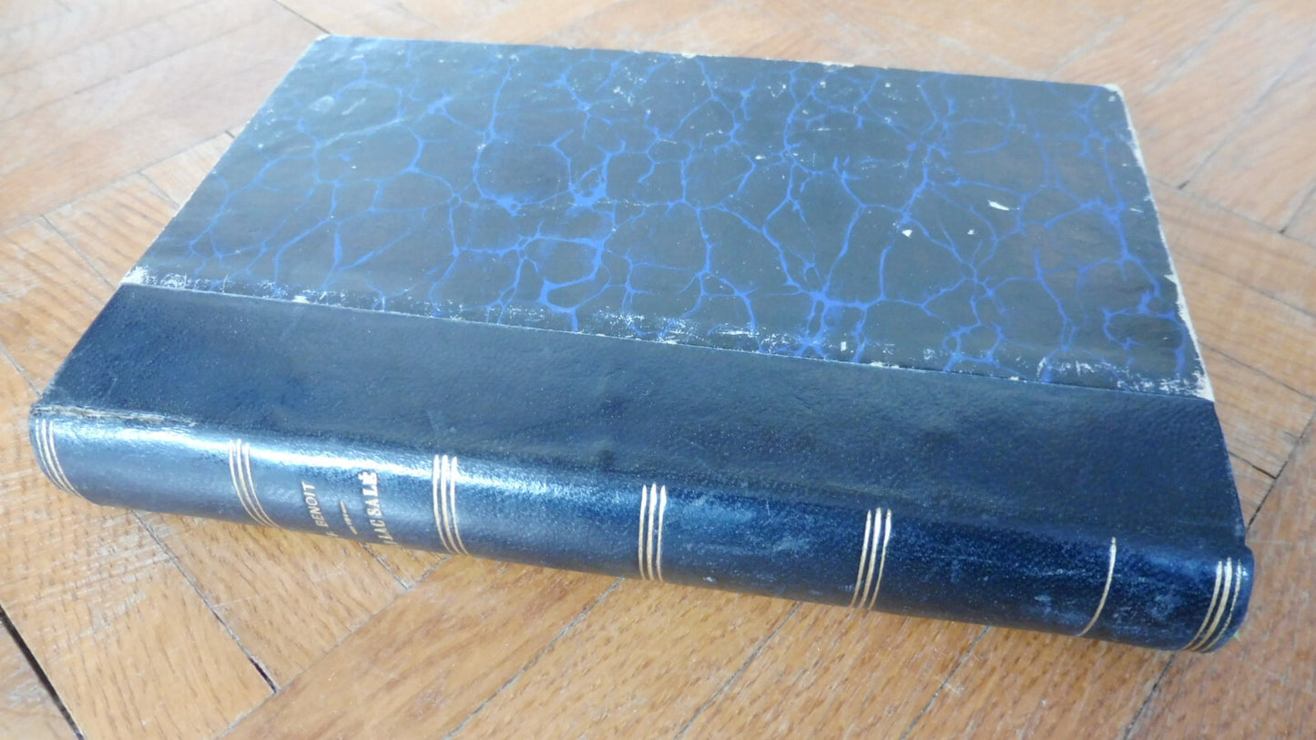 Le Lac salé (Pierre Benoît) s.d. MORMONS