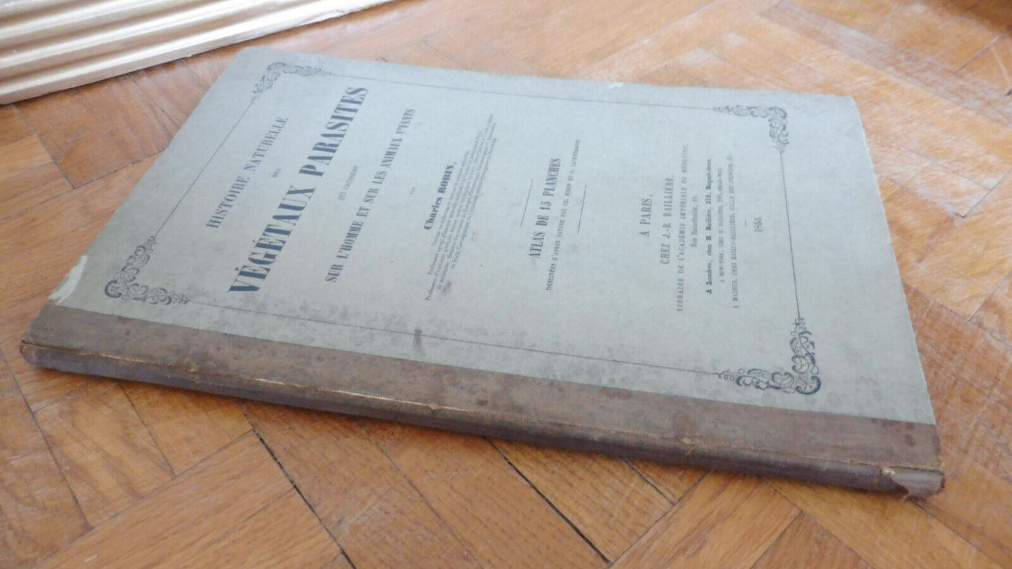 Histoire naturelle des végétaux parasites (Charles Robin) 1853 ATLAS