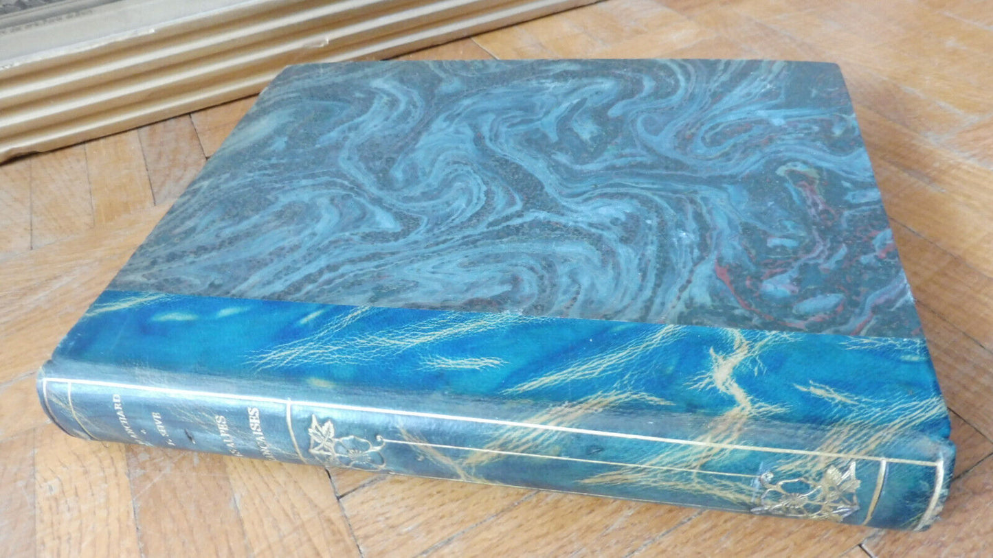 Les Alpes françaises à vol d'oiseau (R. Blanchard & Cpt. F. Seive) 1928