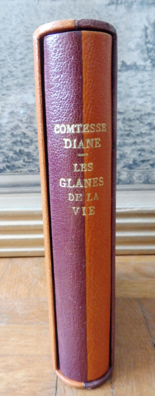 Les Glanes de la vie (Comtesse Diane) 1898 JOLIE RELIURE