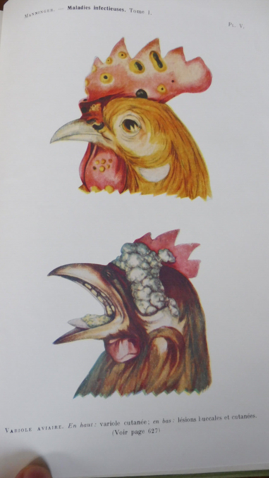 Traité des maladies internes des animaux domestiques (Manninger et Mocsy) 1959