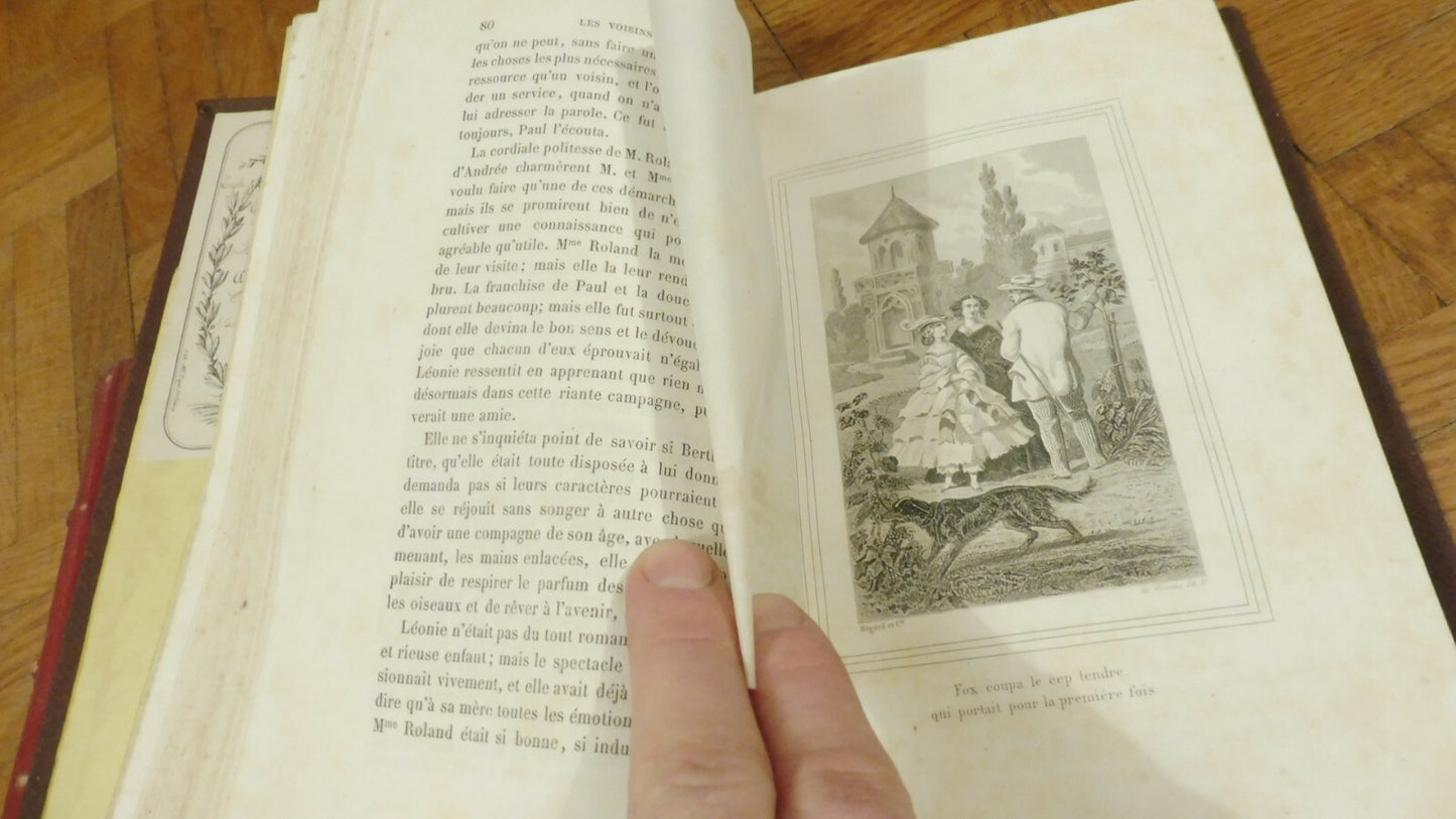 Les Voisins de campagne (Céline Fallet) 1865
