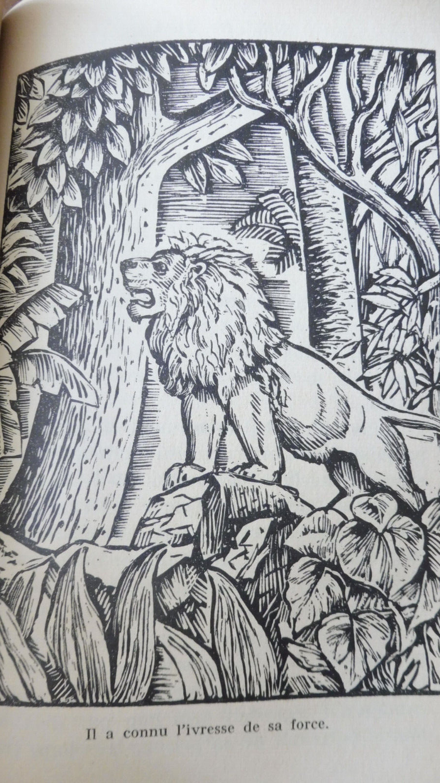 Le Jugement des bêtes (Paule Billon) 1953 illus. Olin