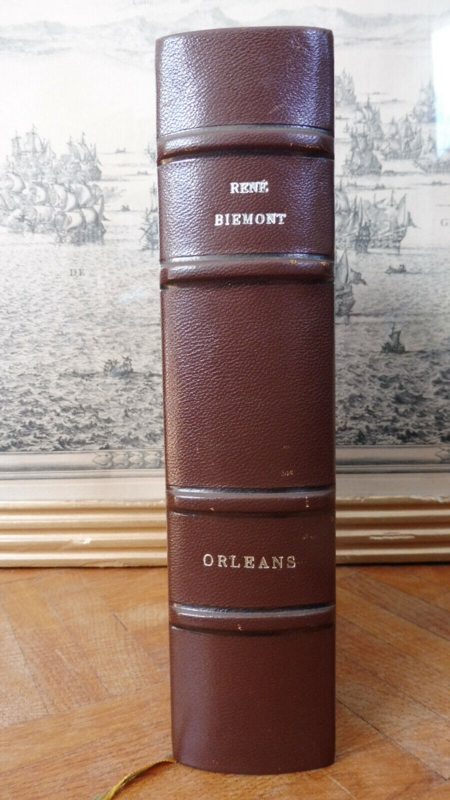 Orléans (René Biémont) 1991 HISTOIRE d'ORLEANS