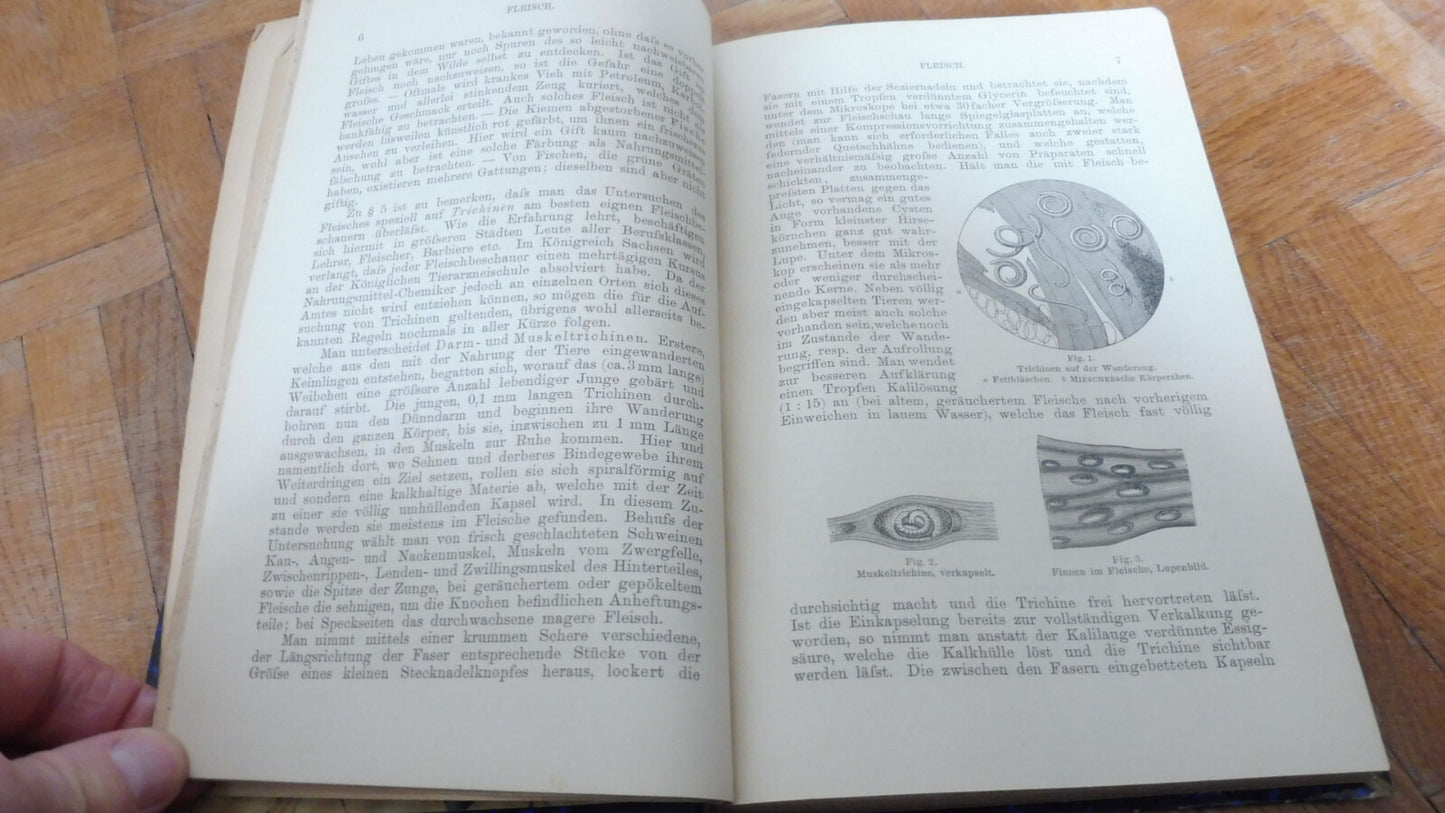 Die Praxis des Chemikers (Fritz Elsner) 1889