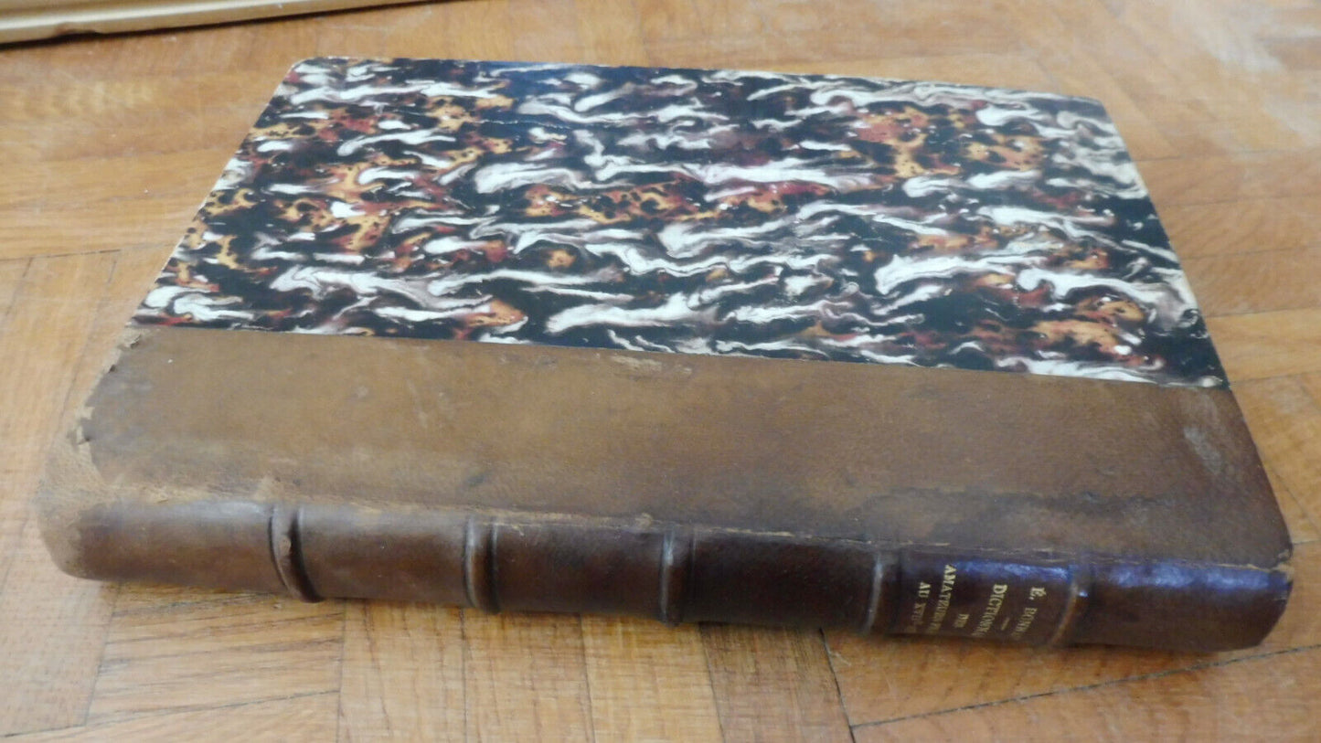 Dictionnaire des amateurs français au XVIIe siècle (Edmond Bonnaffé) 1884