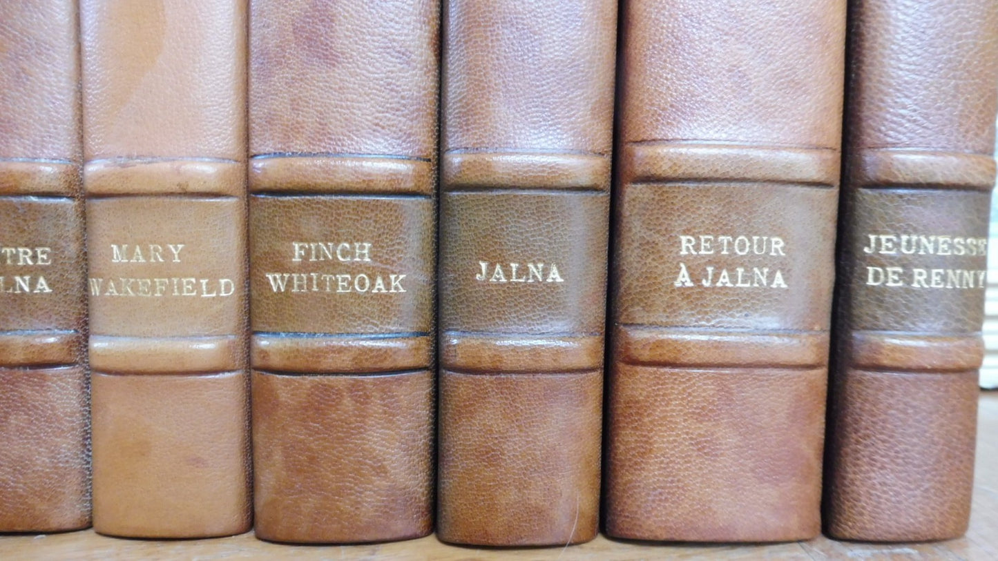 Lot 9 volumes Mazo de la Roche