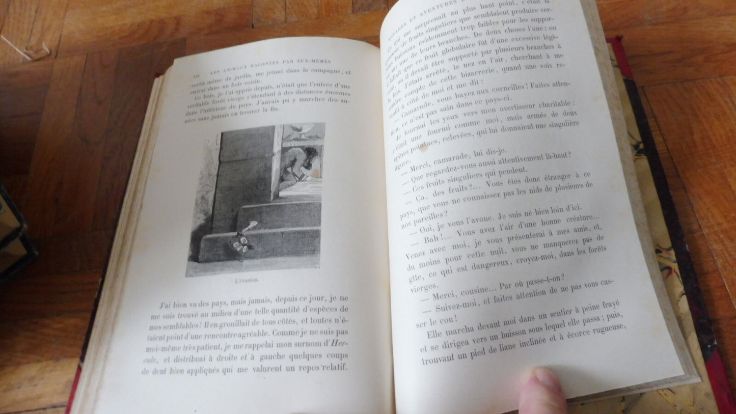 Les Animaux racontés par eux-mêmes (H. De La Blanchère) 1884