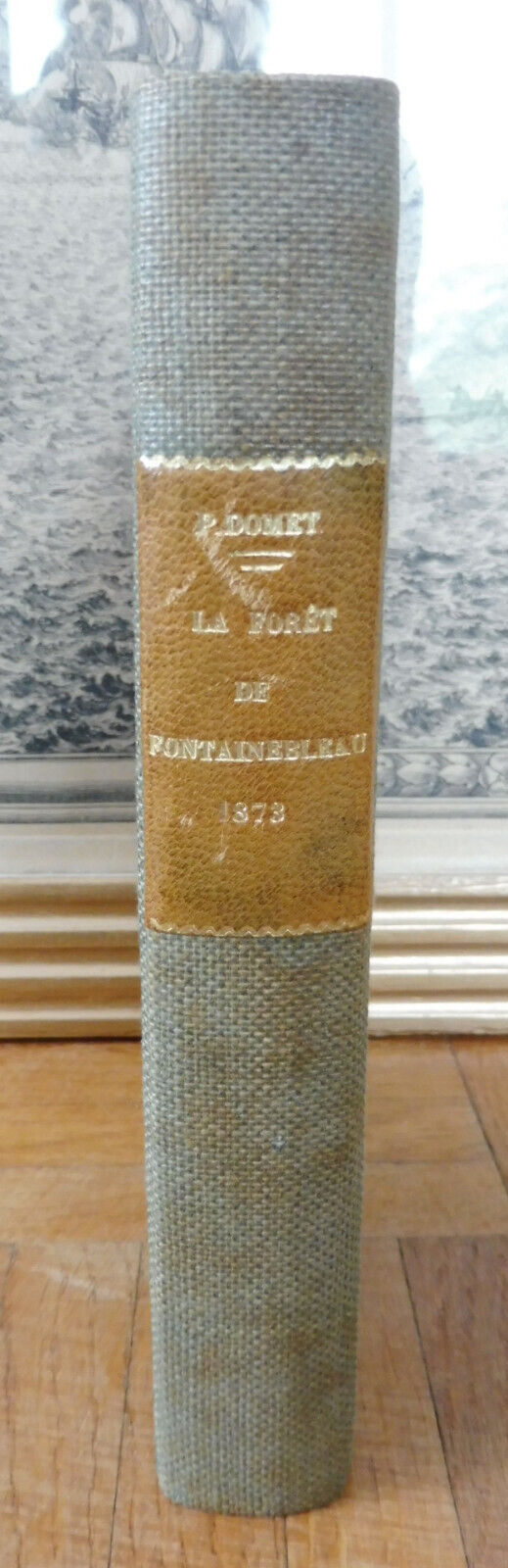 Histoire de la Forêt de Fontainebleau (Paul Domet) 1873