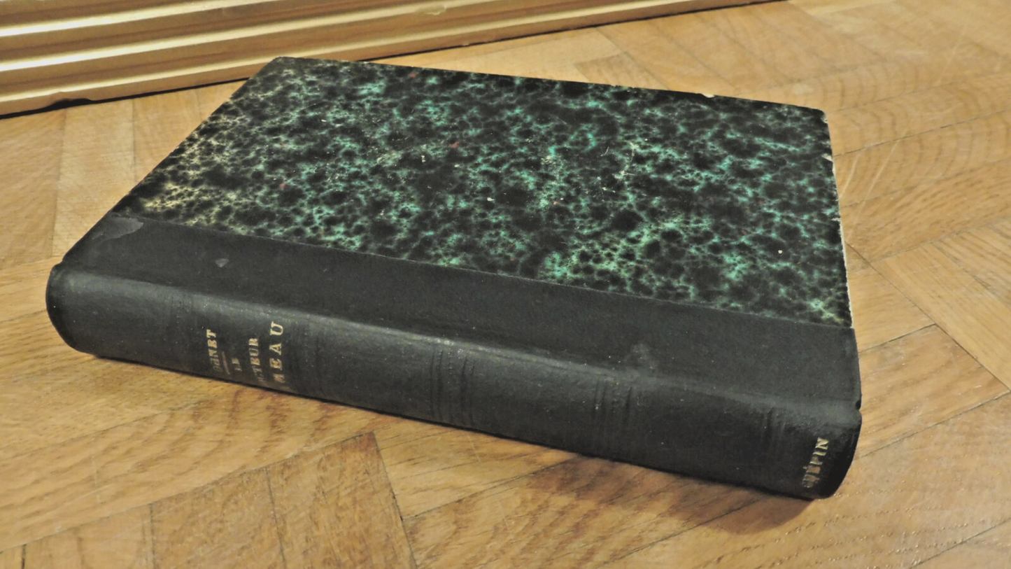 Le Docteur Rameau (Georges Ohnet) 1889