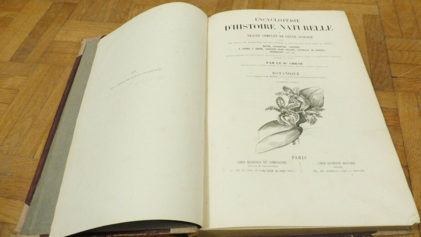 Encyclopédie d'histoire naturelle. Botanique (Chenu) s.d.