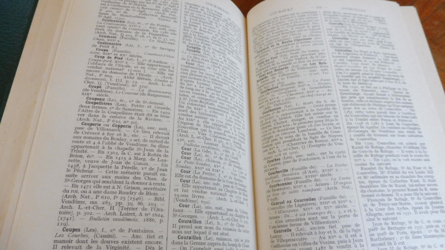 Dictionnaire historique du vendômois (R. De Saint-Venant) 1983 2/2