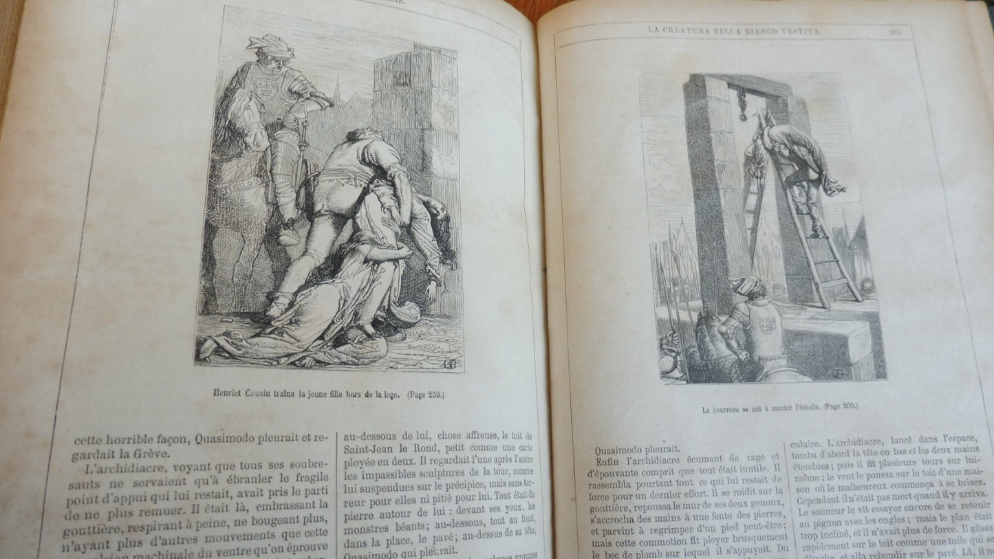 Notre-Dame de Paris (Victor Hugo) 1876 illus. Brion