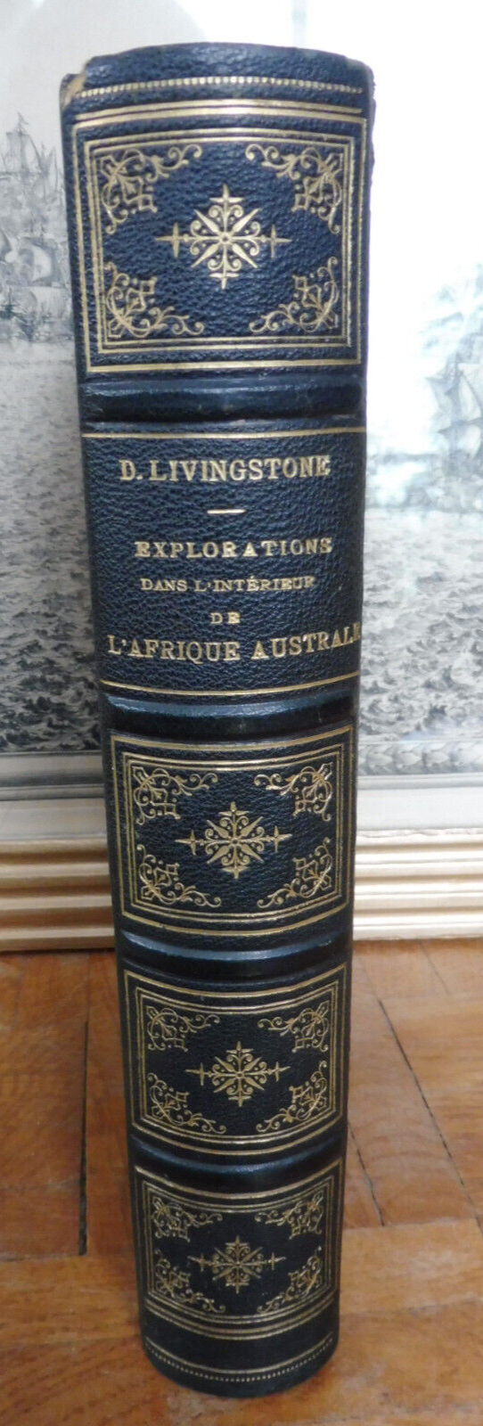 Explorations dans l’intérieur de l'Afrique Australe (D. Livingstone) 1877