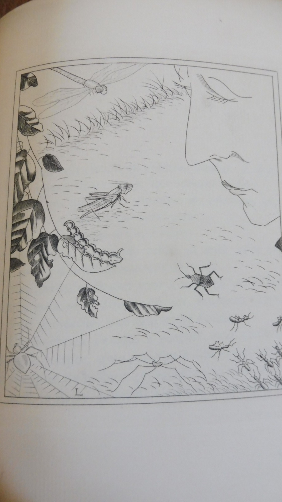 Pages à mon goût (Gilbert De Voisins) 1929 Illus. Laboureur VELIN EO