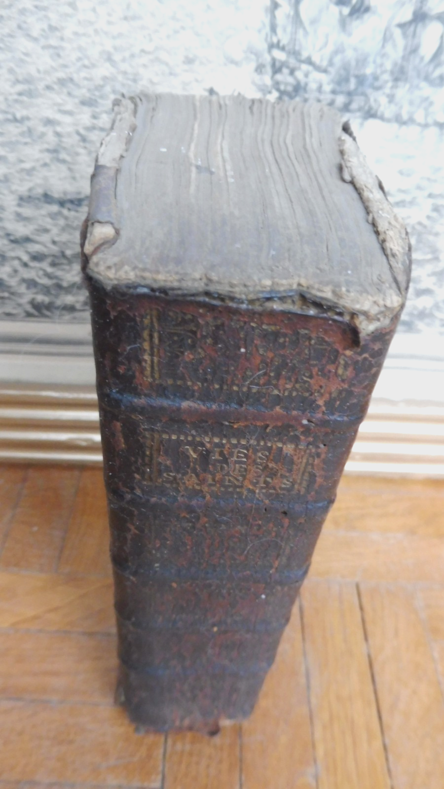 Les Vies des saints pour tous les jours de l'année 1737