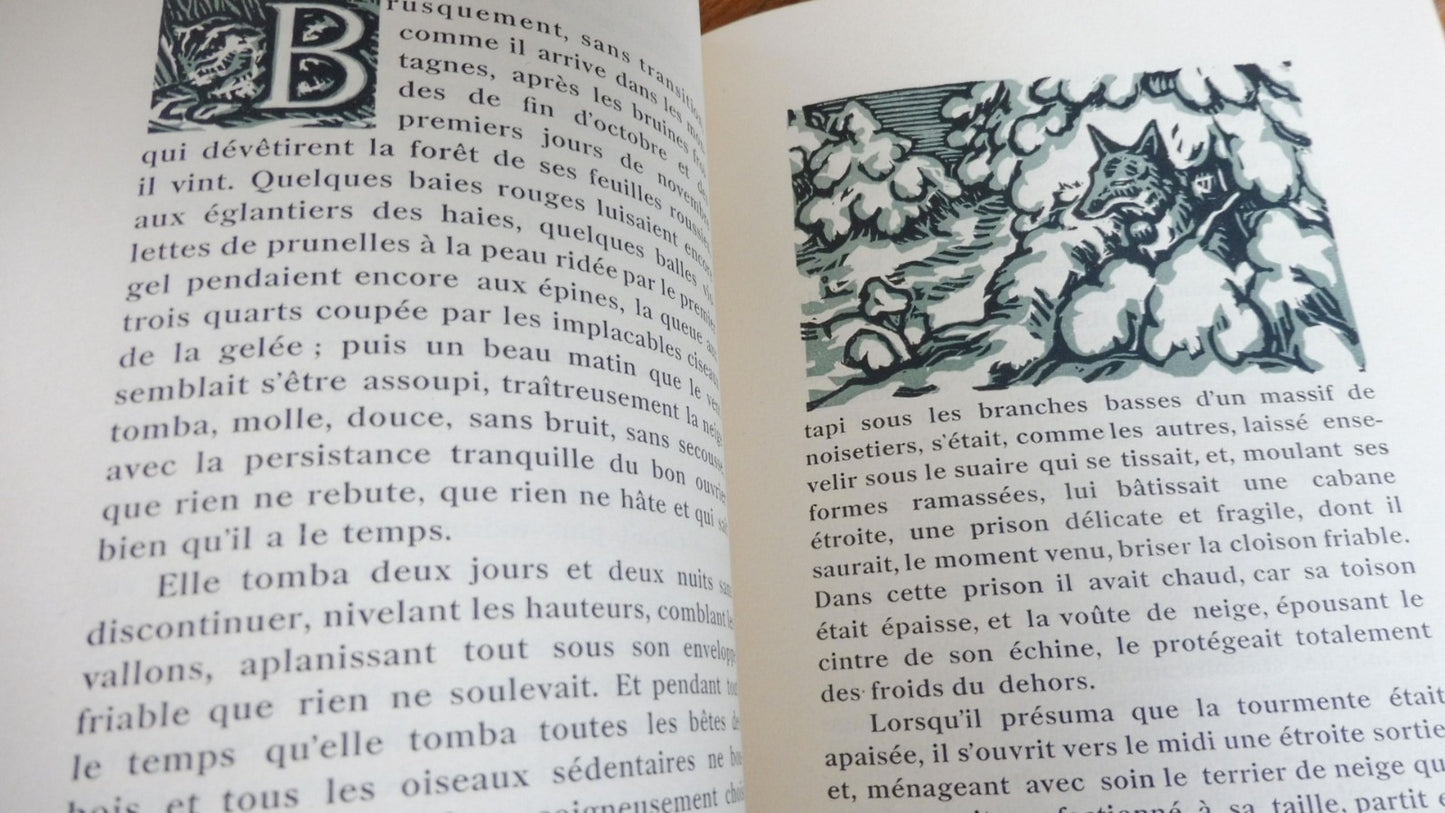 De Goupil à Margot (Louis Pergaud) 1928 illus. Barthelemy MORNAY RIVES