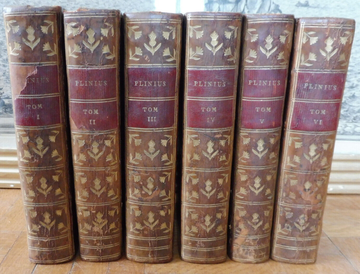 Historiae naturalis, traduction et notes de Gabriel Brotier (Pline) 1779 6/6