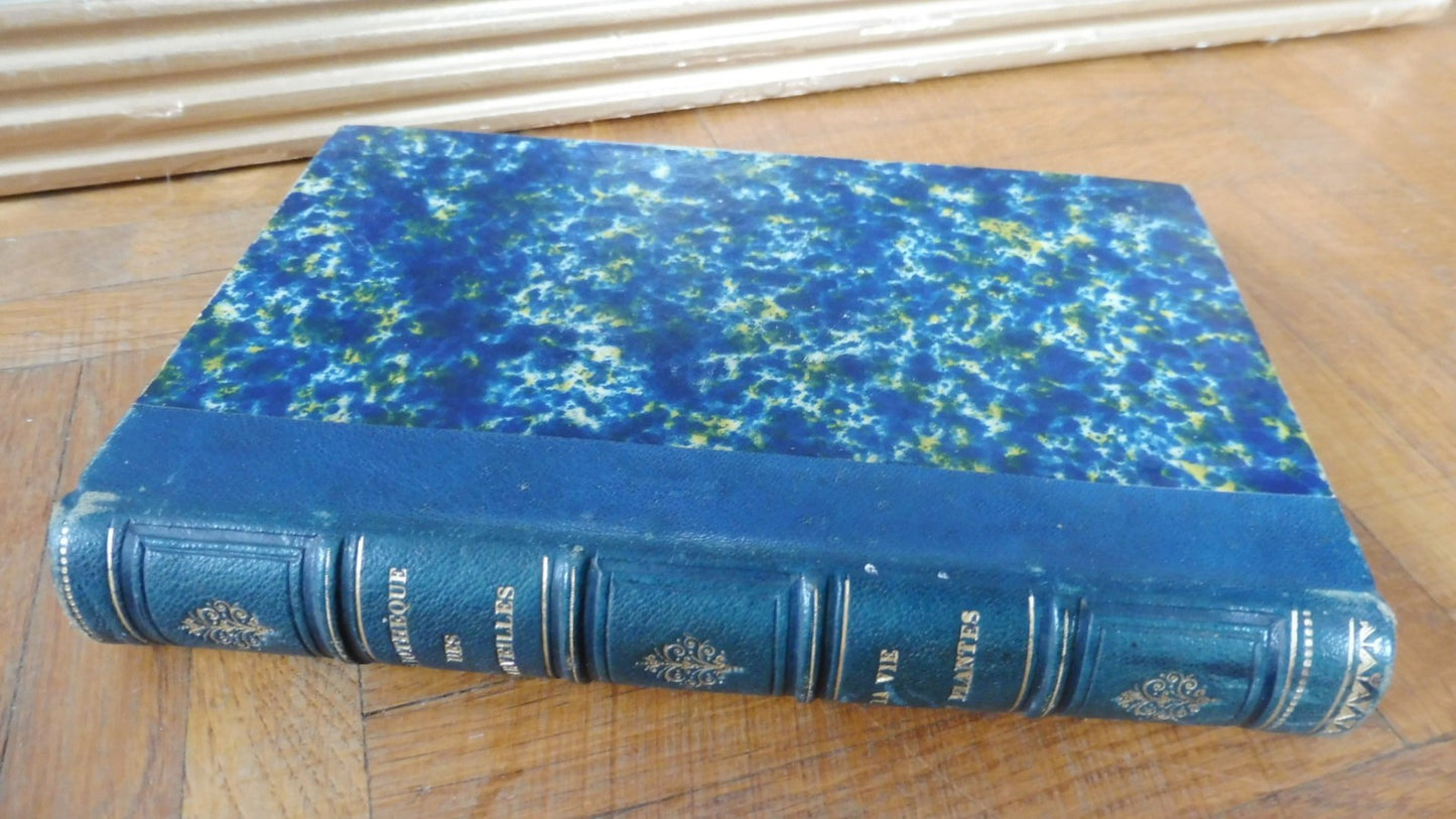La Vie des plantes (H. Bocquillon) 1868