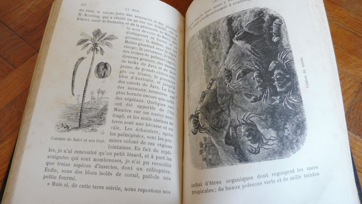 La Mer (Armand Dubarry) 1886