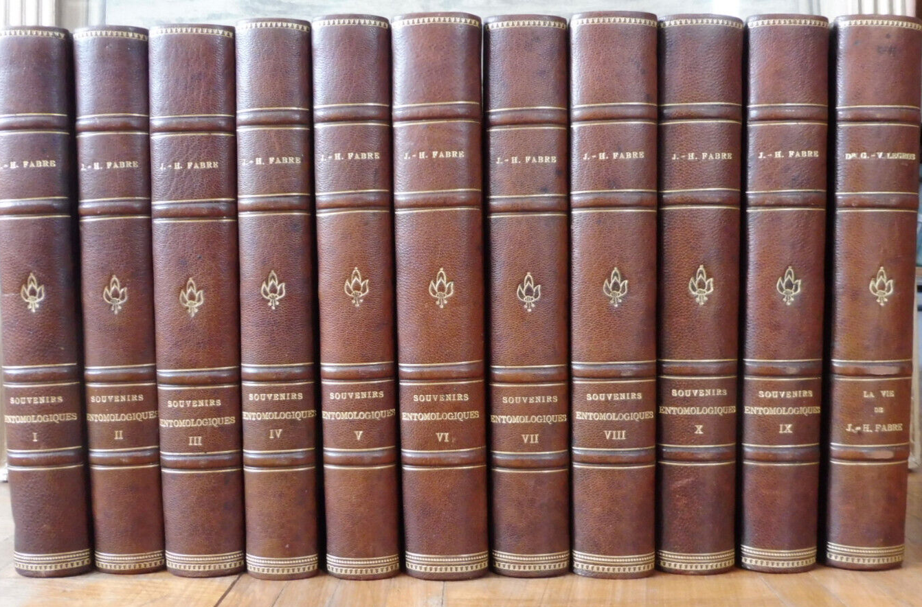 Souvenirs entomologiques (J.-H. Fabre) + Vie de Fabre (Legros) 1925 11/11