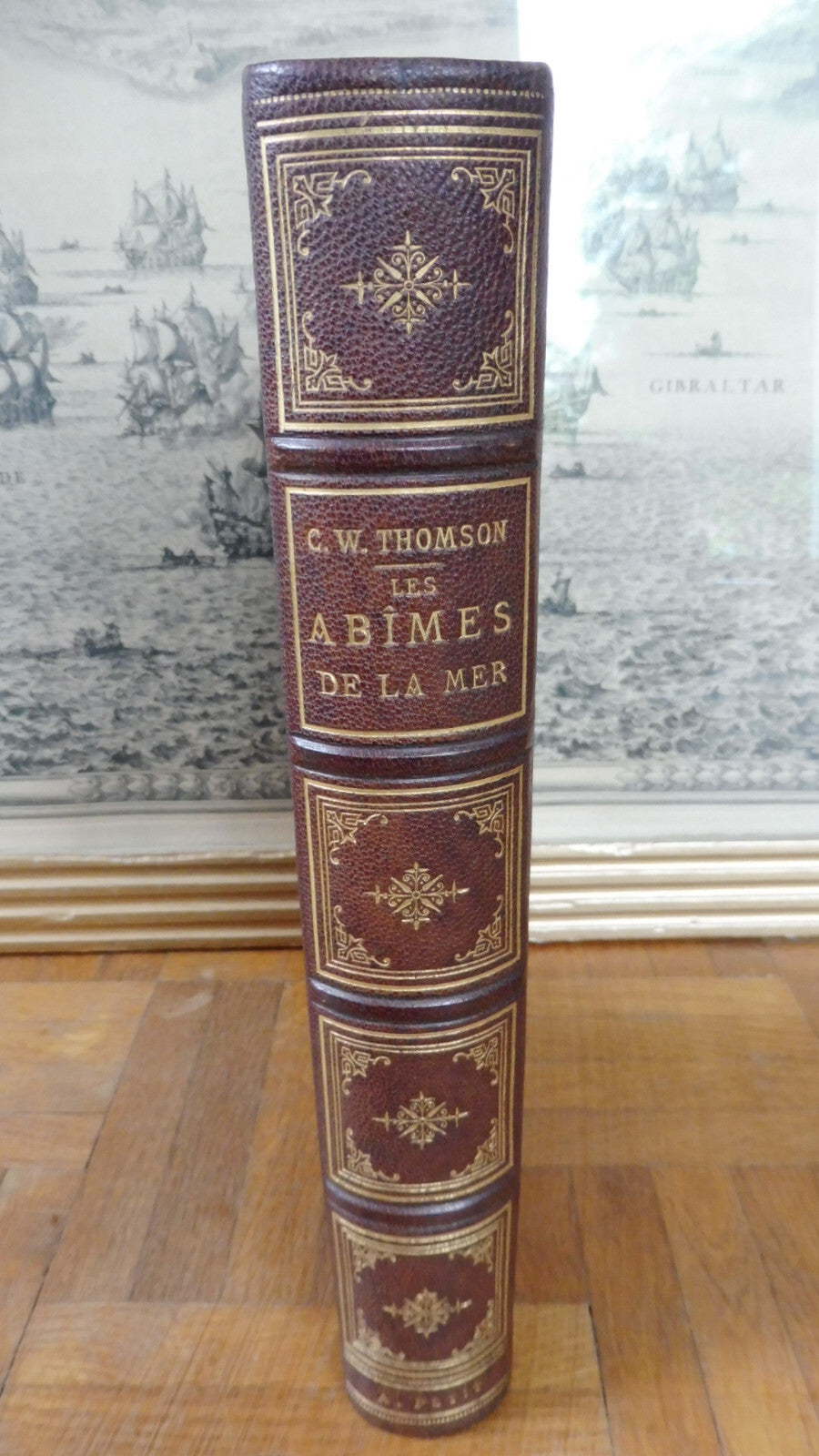 Les Abîmes de la mer (C. Wyville Thomson) 1875