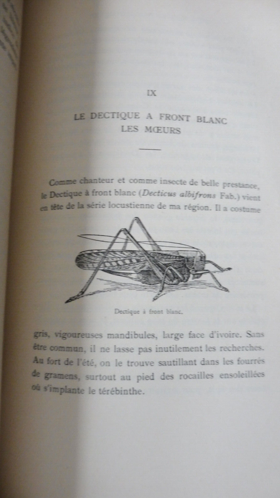 Souvenirs entomologiques (J.-H. Fabre) + Vie de Fabre (Legros) 1925 11/11