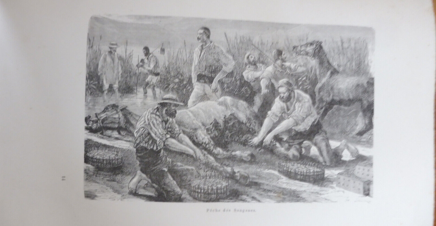 Les Animaux étranges (Gustave Demoulin) 1880