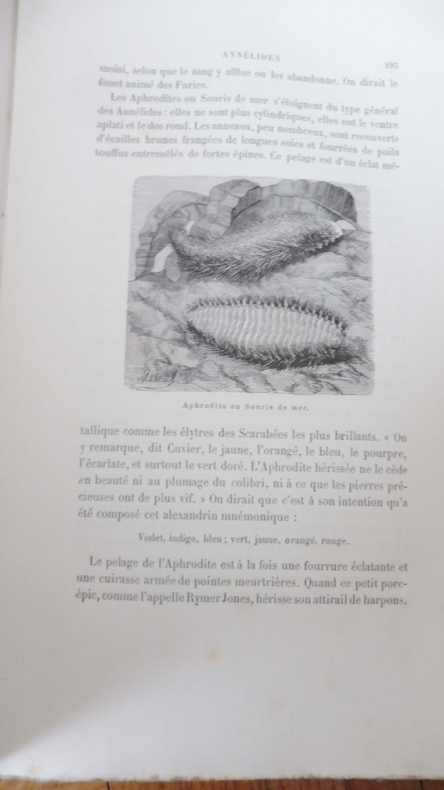 Les Animaux étranges (Gustave Demoulin) 1880
