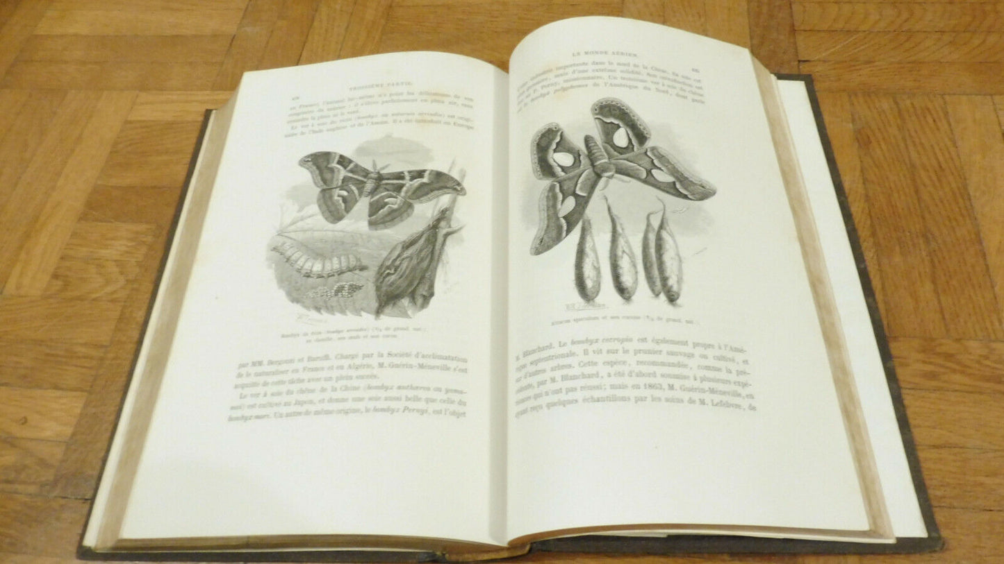 L'Air et le monde aérien (Arthur Mangin) 1865