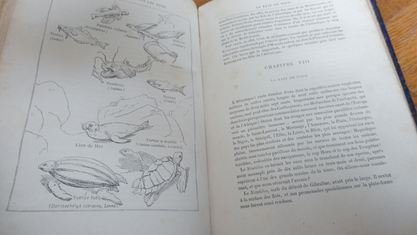 Vingt mille lieues sous les mer (Jules Verne) s.d. Illus. Neuville et Riou