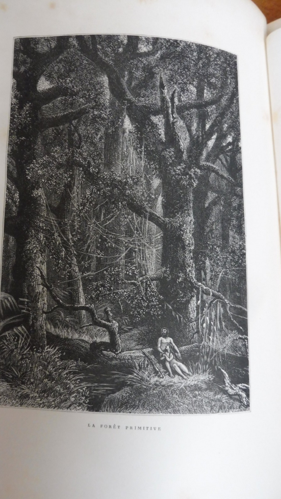 La Forêt. Son histoire. Sa légende. Sa vie. Son rôle (Eugène Muller) 1878