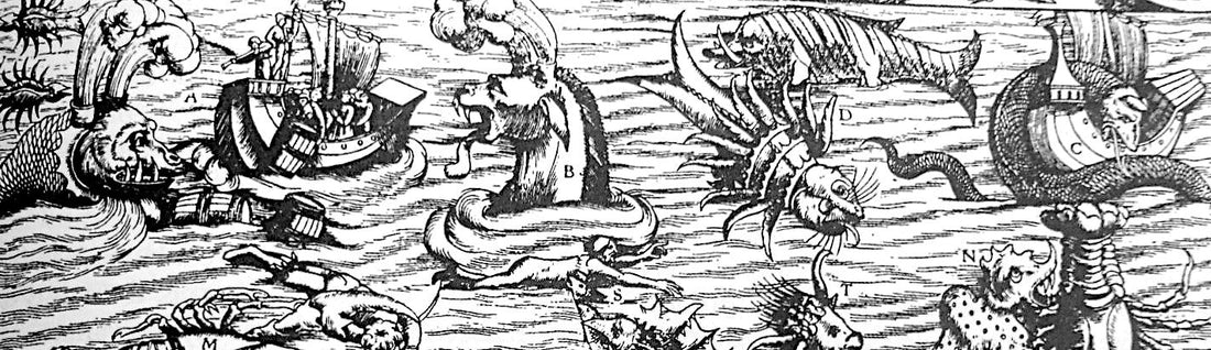 La bibliophilie au XXIᵉ siècle : un état des lieux