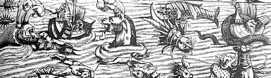 La bibliophilie au XXIᵉ siècle : un état des lieux