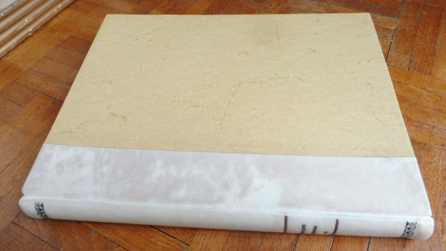 La Princesse Badourah 1914 illus. Edmond Dulac SIGNE JAPON