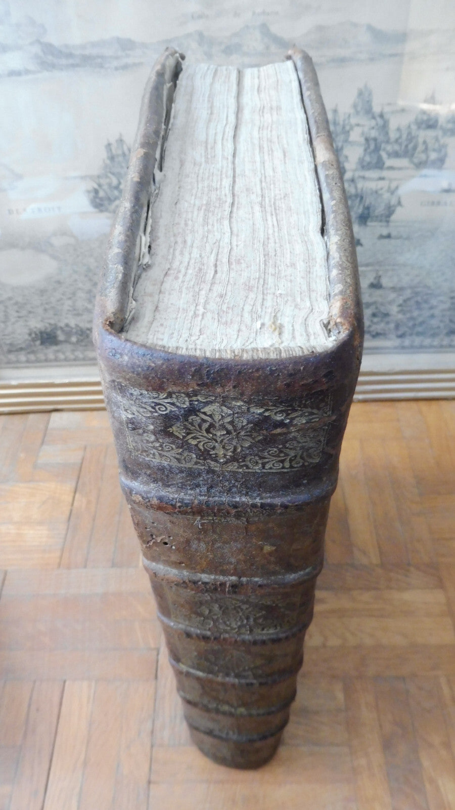 Biblia sacra vulgatae editionis 1705 IN FOLIO