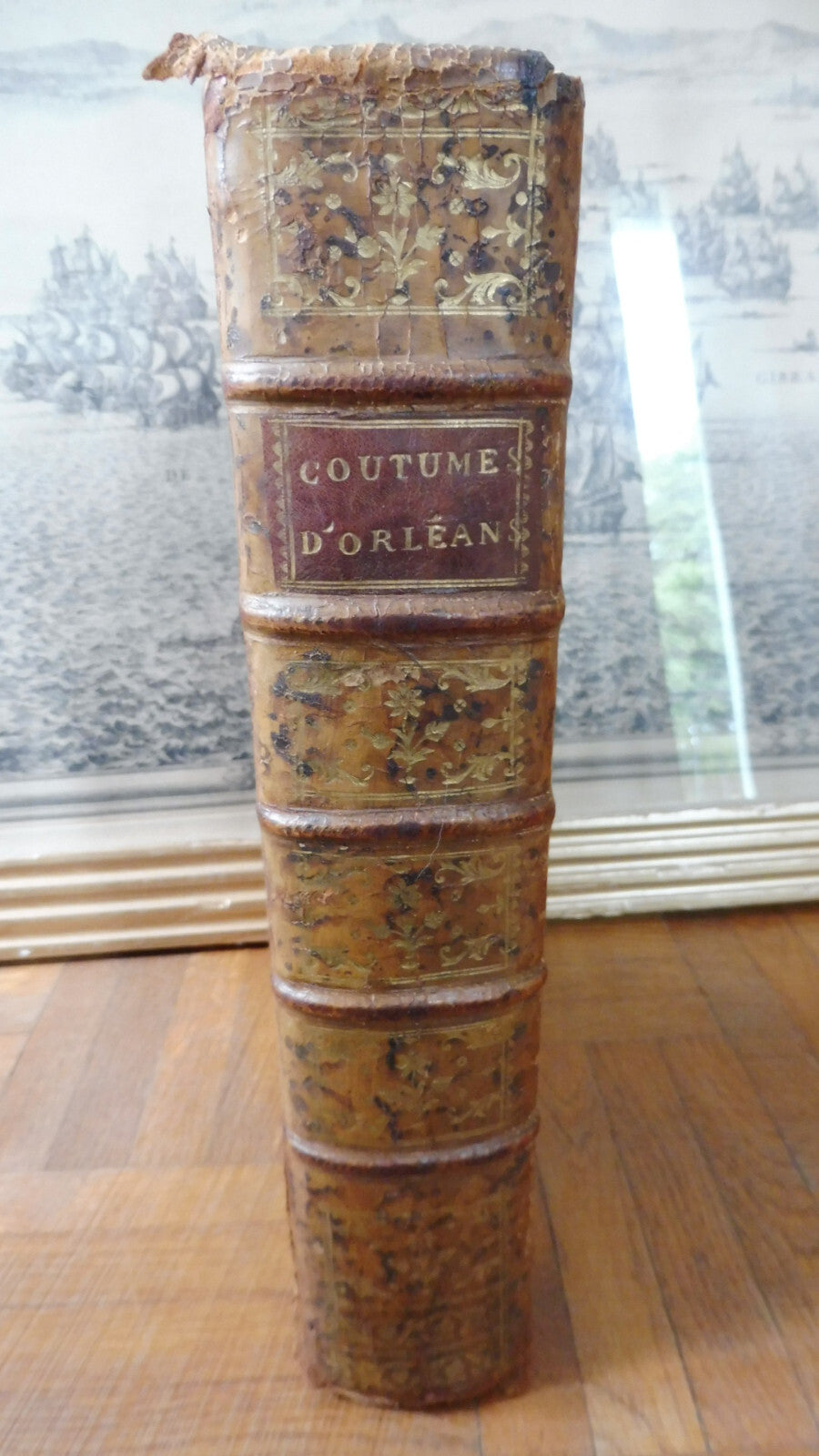 Coutume d'Orléans (Pothier) 1780