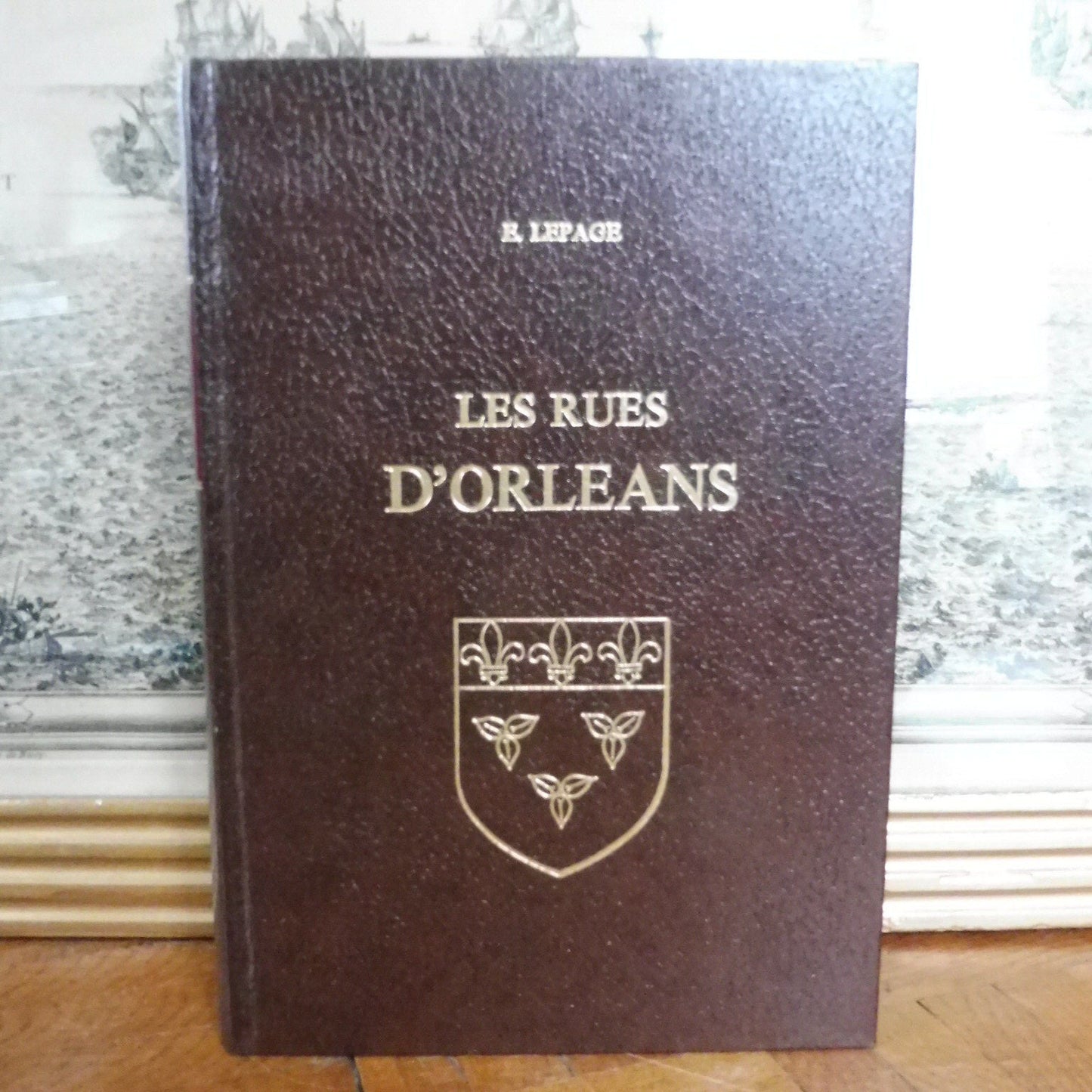 Les Rues d'Orléans (E. Lepage) 1979