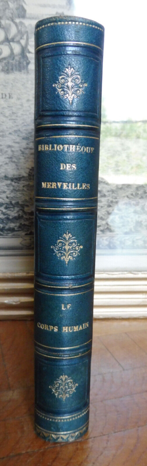 Le Corps humain (A. Le Pileur) 1868