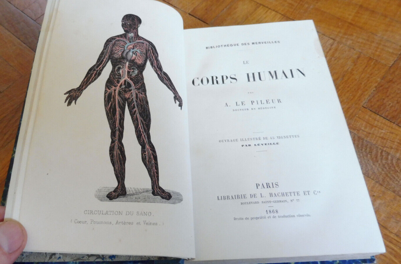 Le Corps humain (A. Le Pileur) 1868