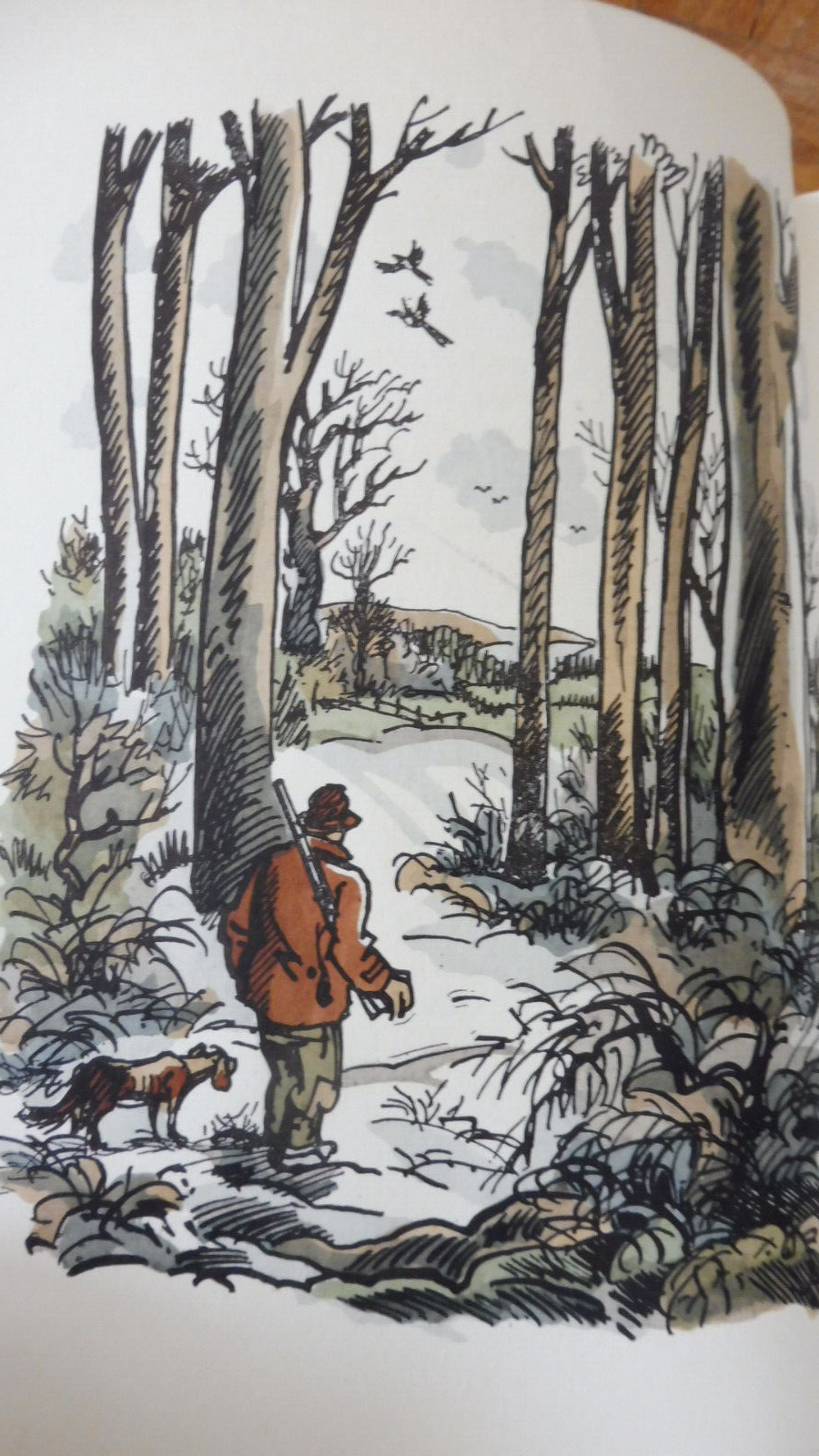 De Goupil à Margot (Louis Pergaud) s.d. Illus. Collot ALFA